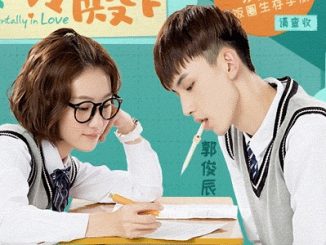 Download Drama China Accidentally in Love Subtitle Indonesia